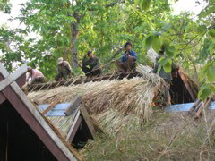 IMG_1775.JPG